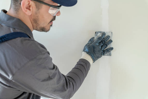 Best Repainting for Renovations  in Wantagh, NY